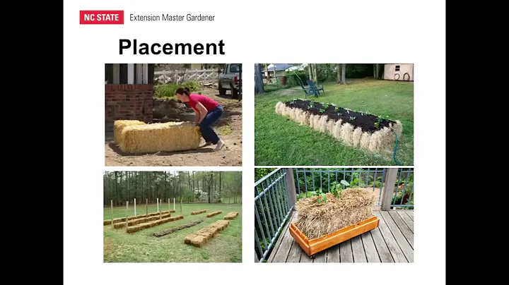 Straw Bale Gardening--An Alternative to Raised Bed...