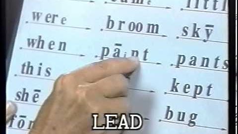 #13 Reading Mastery Format Practice Series - Sounding Out to Story Reading