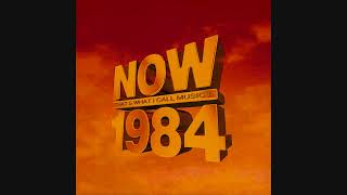 NOW That's What I Call Music! 1984 screenshot 3