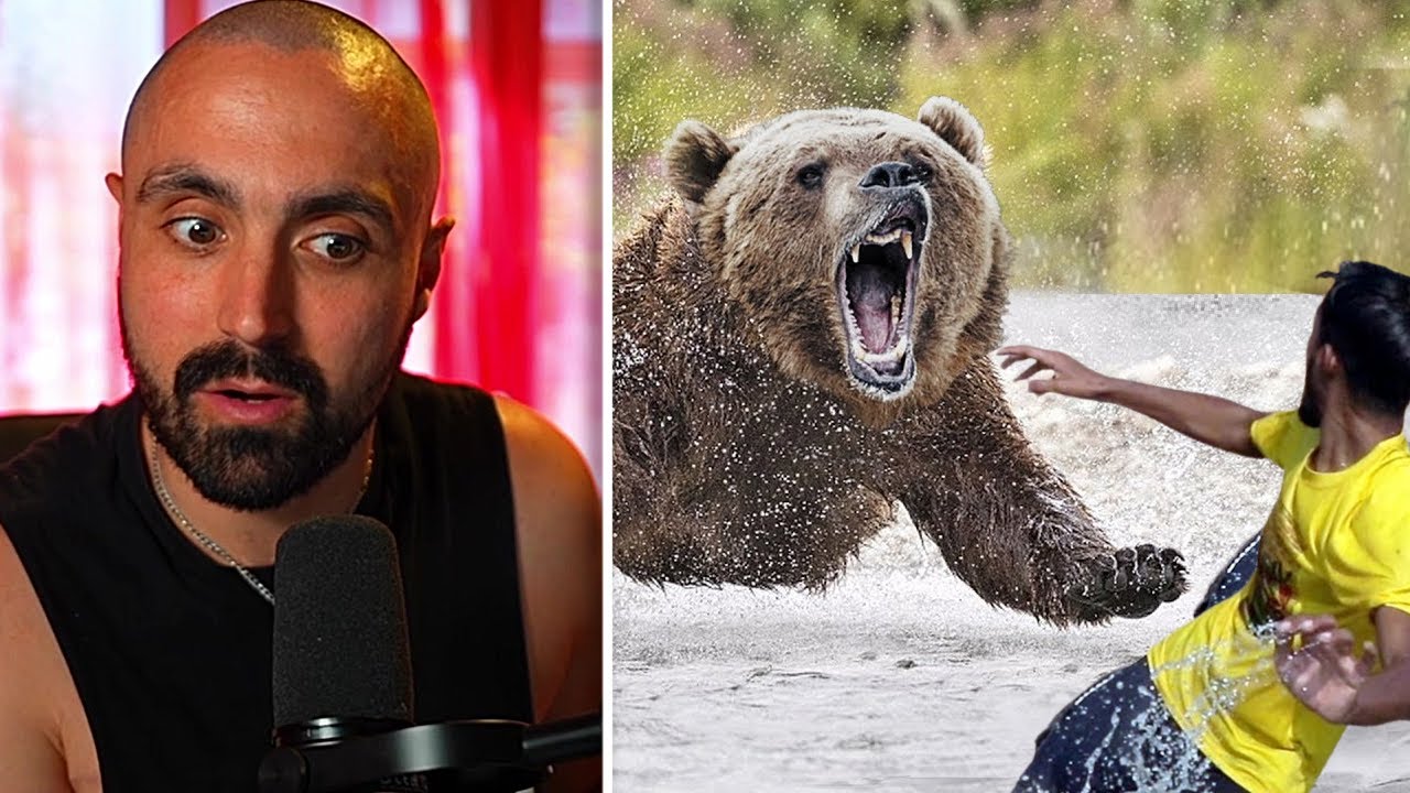 Grizzly Bear Standing Next To Human