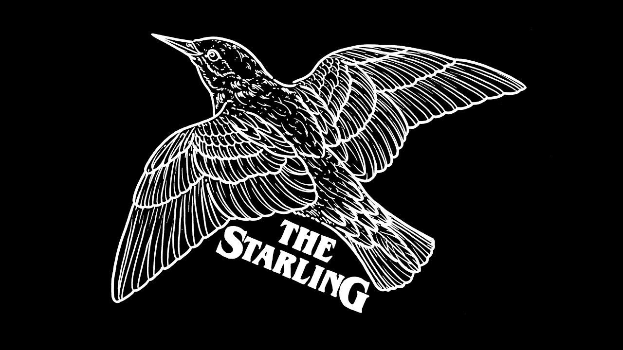 614 SHAPES | Handcrafted Bespoke Surfboards