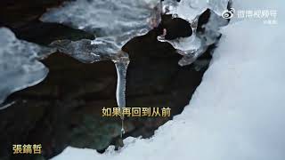 张镐哲歌曲合集Zhang Haozhe's Song Collection