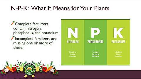 Soil Test for Organic Vegetable Gardens
