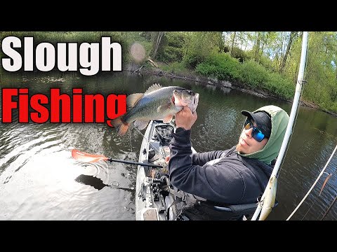 Bass Fishing Willamette slough – from kayaks #largemouthbassfishing #bassfishing #spinnerbait