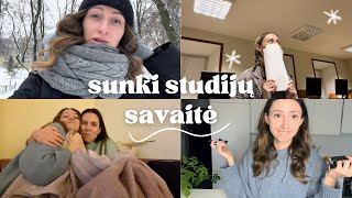 Atsiskaitymai, pirmas sniegas, laužau techniką, skelbiu Q&A! | Vilniaus Universiteto studentė