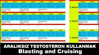 #25 Testosterona Ara Vermeden Devam Etmek? (Blasting and Cruising)