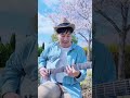 Roly Poly by Koyo Morita #countryguitar #enyaguitar #enyainspire #shorts