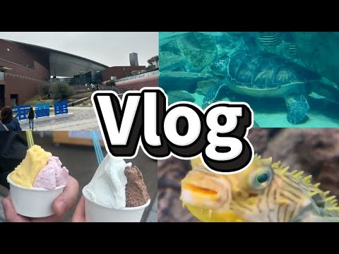 【Vlog】水族館デート！