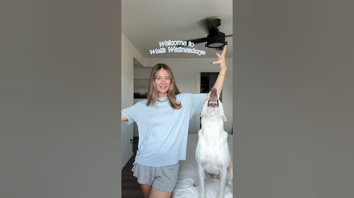 Yuki is very excited for this new series🐶🤭#dogshorts #pets #funnydog #dog #walk #mentalhealth