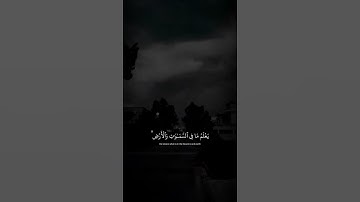 اكتب شيء تؤجر عليه ❤️😴| تلاوة هادئة وجميلة  جدا_قران كريم_القارئ عبد الرحمن مسعد