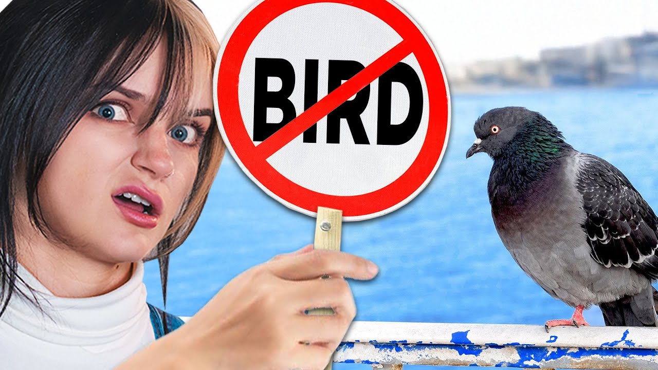 Are You Racist Against Birds?