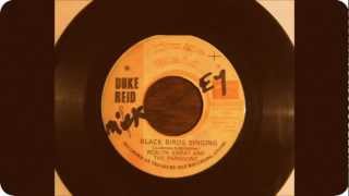 Roslyn Sweat & The Paragons / Black Birds Singing ---(Duke Reid) chords
