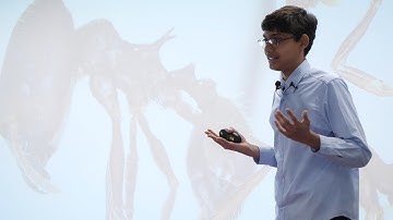 What we can learn from ant and bee society | Sahas Vijayabaskar | TEDxYouth@ChavisWay