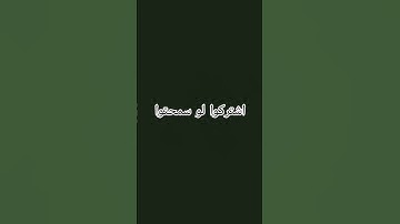 #حمزة_بوديب #دعاء #دعاء_مستجاب #دعاء_حمزة_بوديب #القارئ_حمزة_بوديب #القران_الكريم #اكسبلور