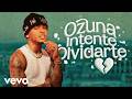 Ozuna Intente Olvidarte Video Oficial 2026 Reguetón Romántico Ozuna Intente Olvidarte Video Oficial 2026 Reguetón Romántico