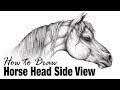 How to draw a horse head side view  arabian horse