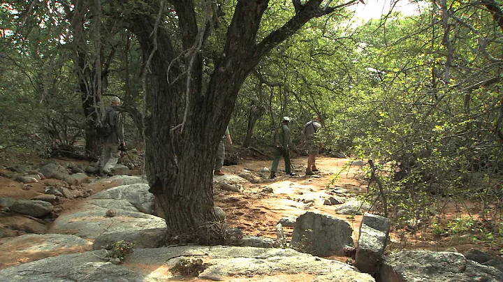 North American Hunter TV '13 Episode 12 AFRICA SEG 2