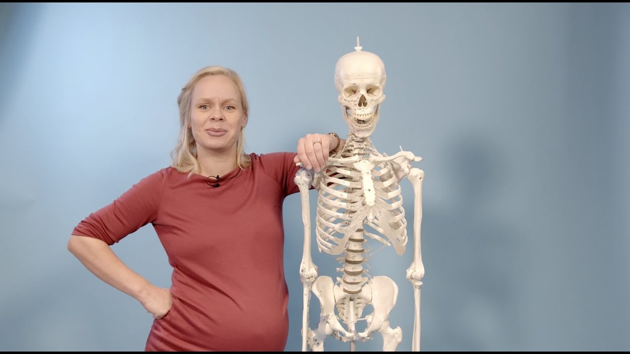 Kroppens knokler - en puggevideo