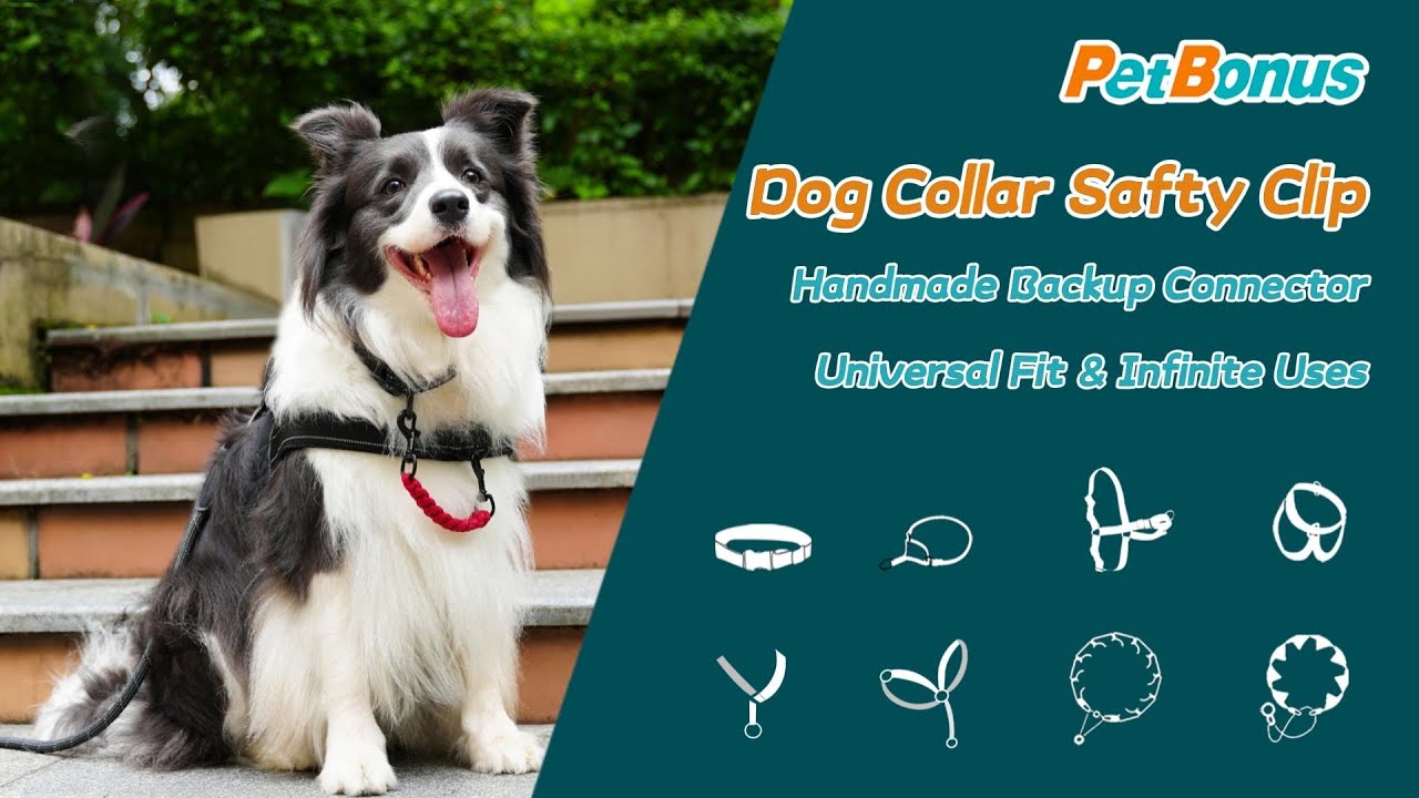 PetBonus Dog Collar Safety Clips
