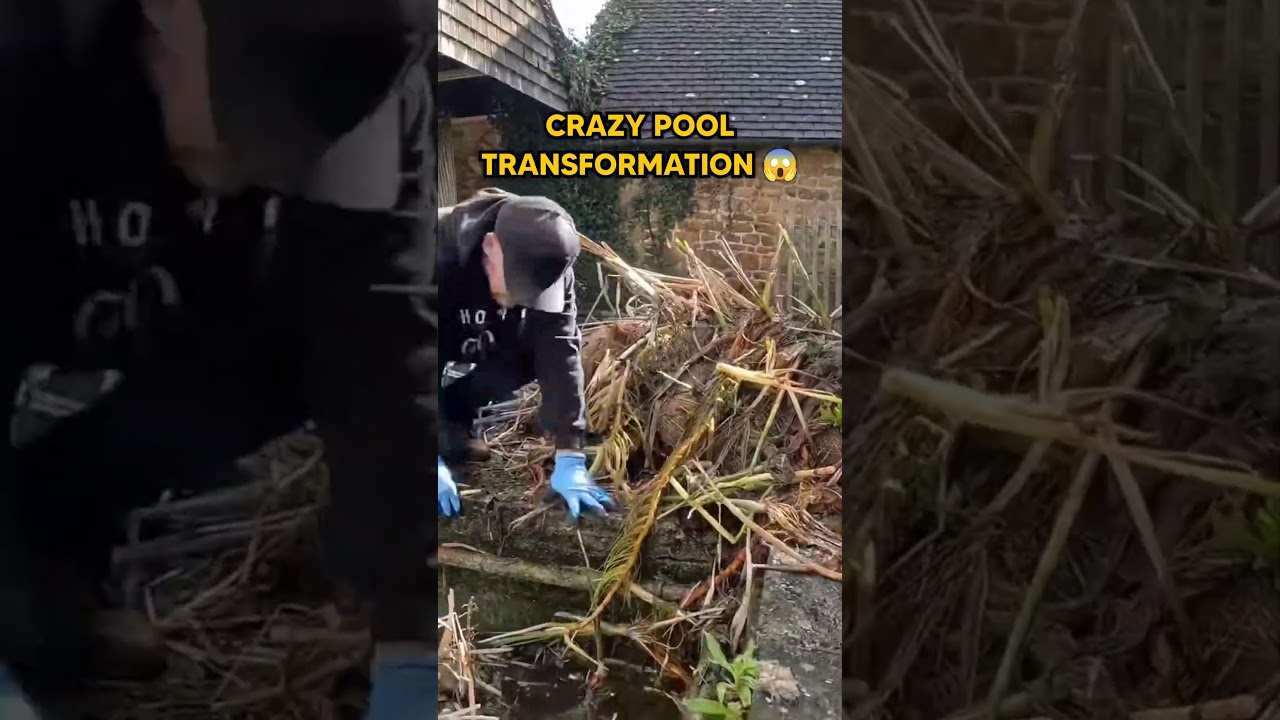 Crazy Pool Transformation 😱