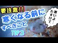 【知らないと危険】寒くなってきたらハムスターにするべき対策　TOP３