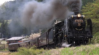秩父鉄道白久〜三峰口SLパレオエクスプレス 旧型客車 - YouTube