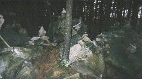 Rules For The Appalachian Mountains