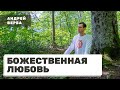 Медитация на любовь. Часть 2. Божественная любовь