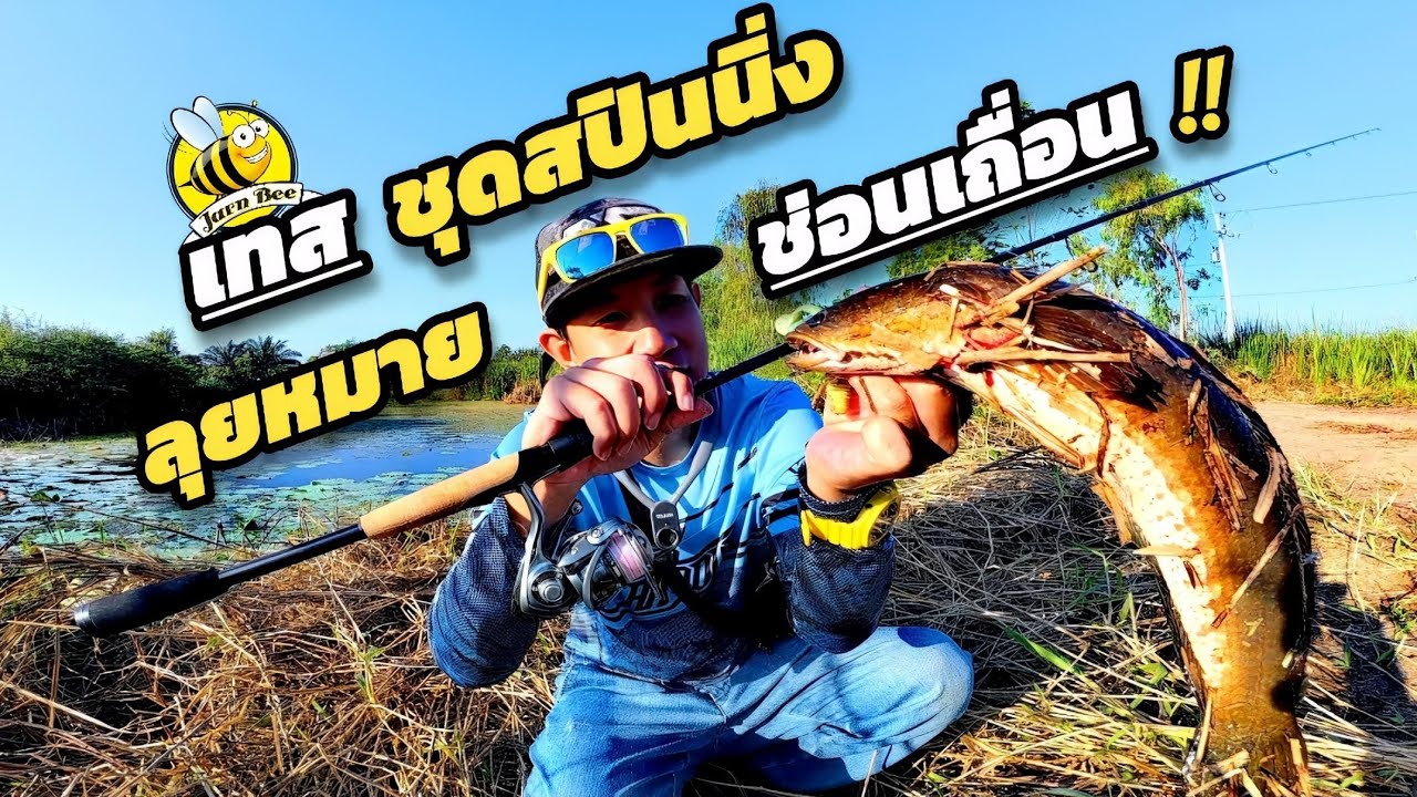 ล่าช่อน ด้วยชุดสปินนิ่งครั้งแรก .. ผิวน้ำกัดดุ เท็กซัสริกกัดดิบ !! (Ep. 137) 
