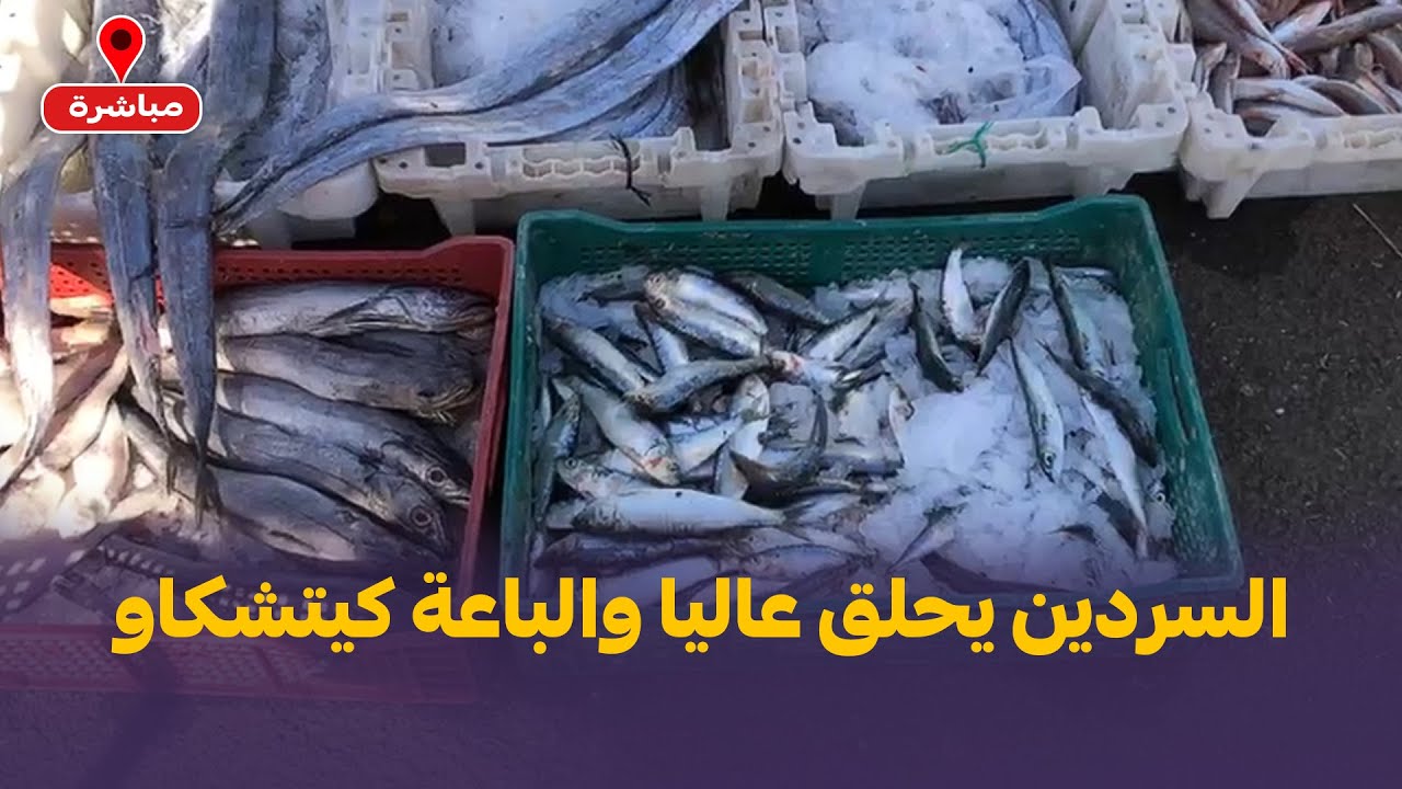 السردين يحلق عاليا والباعة كيتشكاو…الصندوق غلا بزاف