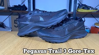 Nike Pegasus Trail pegasus 38 trail 3 Gore-Tex Review& On foot