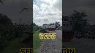 Download Lagu SEDANG INGIN BERSAMAMU #keretaapi #youtubeshorts #shortsyoutube #fyp #trendingshorts MP3