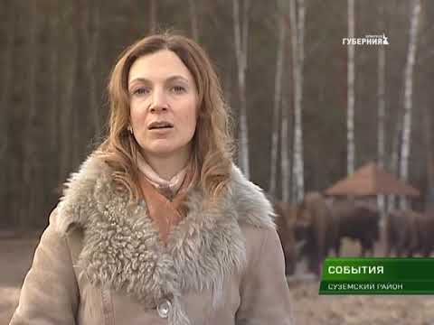 11 января в России отмечается день заповедников и национальных парков  11 01 18