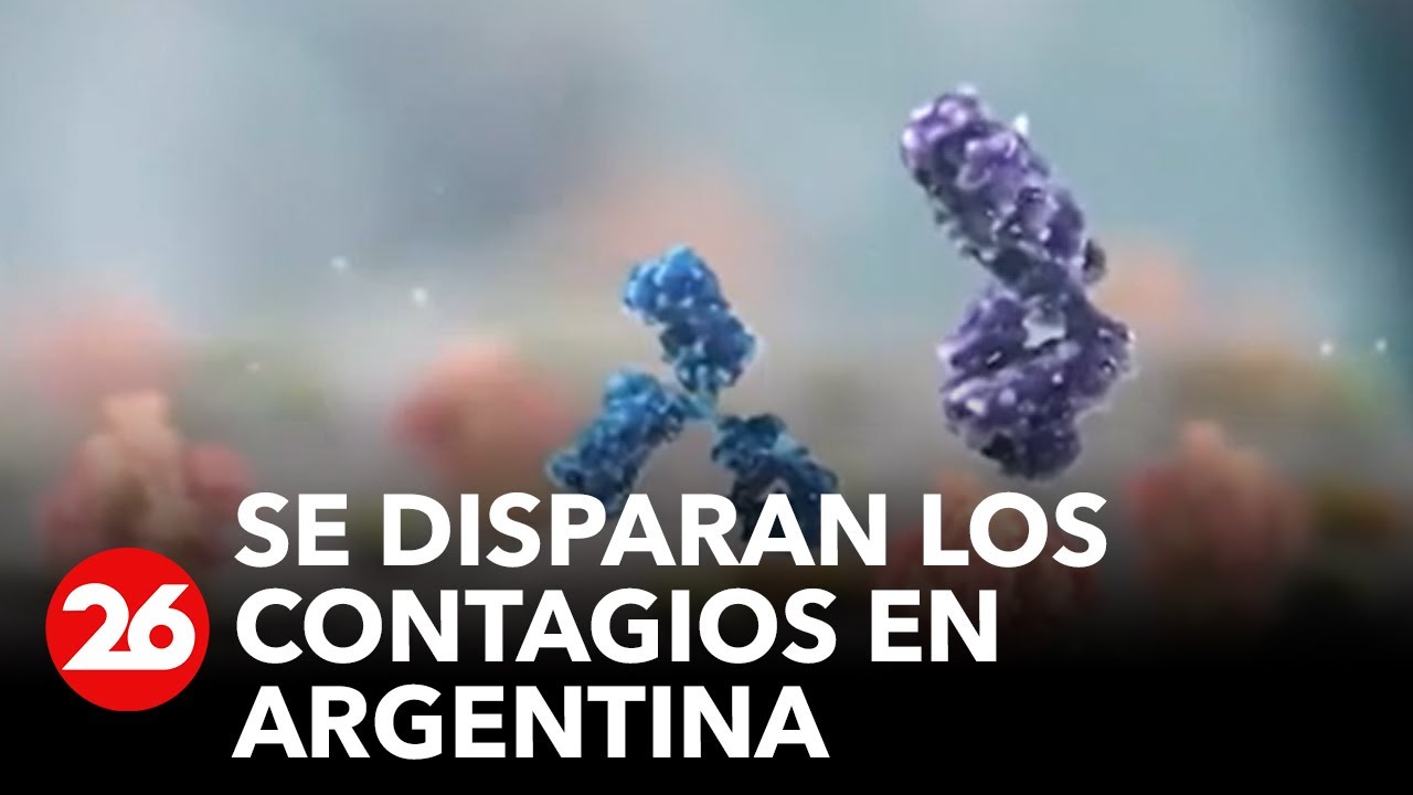 ARGENTINA | Se duplicaron los casos de COVID-19 en una semana - YouTube