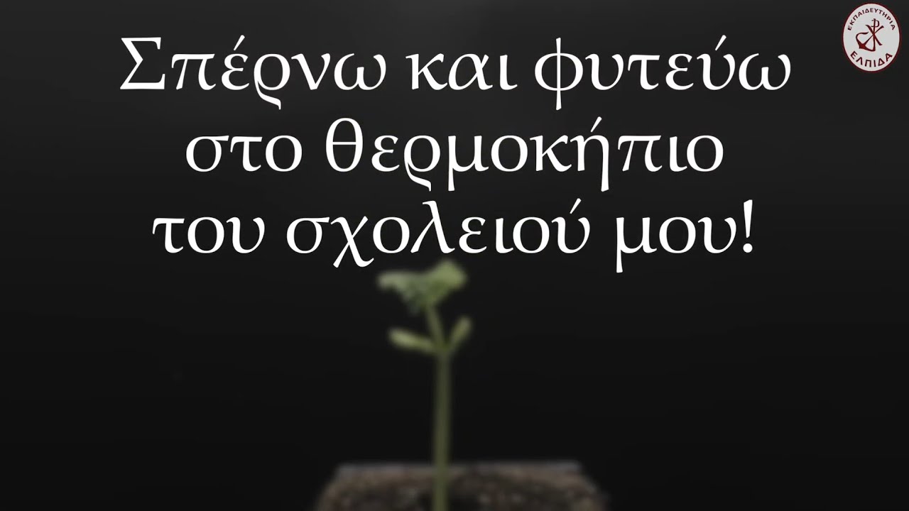 Βήμα-βήμα για τη σπορά και τη φυτεία!