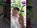 Reiki For You #reiki #god #love #foryou #davidhockney