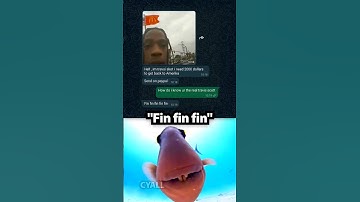 Fin fin fin 🐠