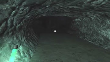 Penumba Overture P 2 These spider are HUGE