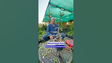 Step by Step Wind Swept Style Bonsai Making 😱🪴 #gardening #bonsai