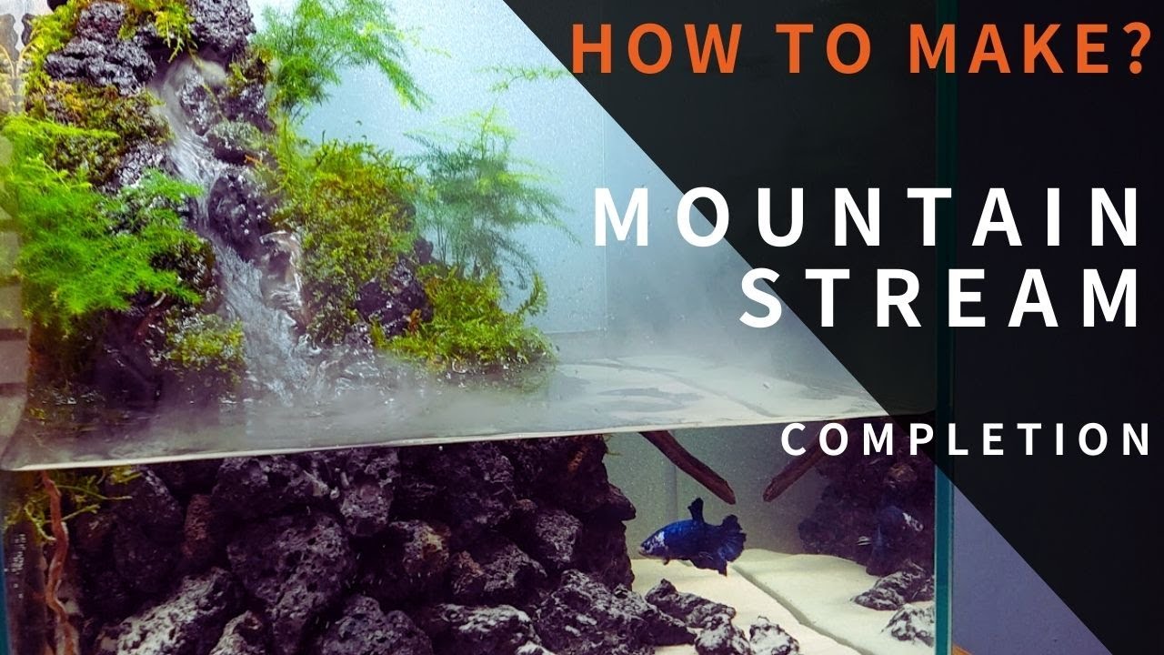 渓流の作り方 完成編 植物を植えてアクアテラリウムに命を吹き込む Youtube