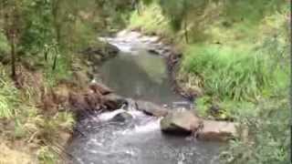 Scotchmans Creek - Erosion Control - 23/10/13