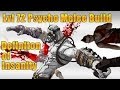 Borderlands 2- Level 72 Psycho Melee Build *Definition of Insanity*