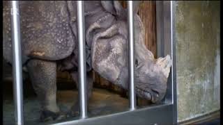 Nashorn, Zebra & Co Fragment 2016 Br-Fernsehen