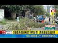 3層樓高爛根風鈴木軟腳倒! 清晨重砸路邊2車｜三立新聞LIVE