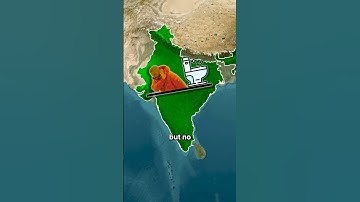 How Polluted Is India?