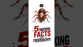 Cockroach | Drishti IAS English | #shorts #UPSC #cockroach #survival #species#insects #environment