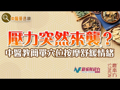農本方特約：【中醫藥透視】中醫治療情緒病（嘉賓：易健中醫診所 張美兒醫師）