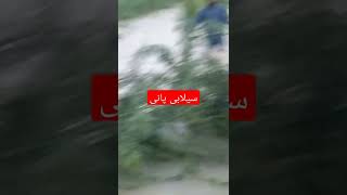 سیلابی پانی