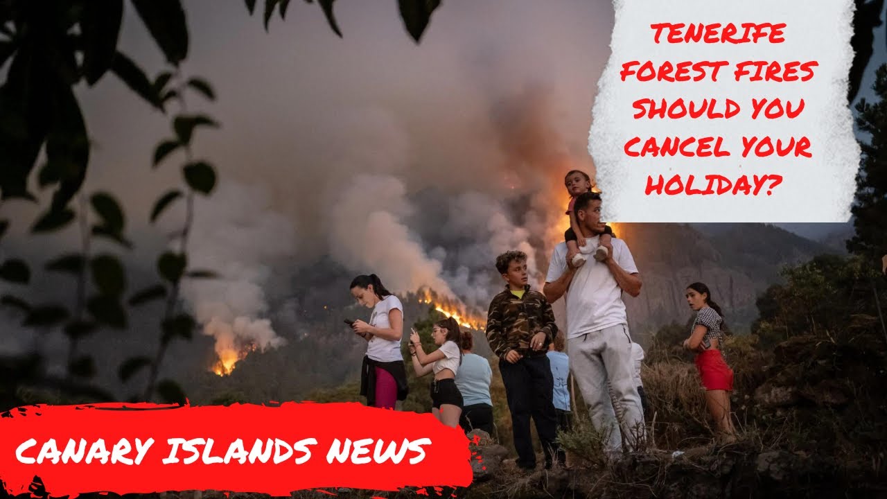Tenerife News: Should you CANCEL your Holiday? Forest Wild Fires update! Canary Islands ✈️