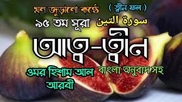 Surah 95) সূরা আত ত্বীন বাংলা অনুবাদ সহ سورة التين | Surah At Tin with Bangla Translation | Quran